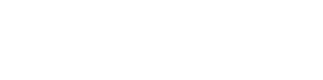 Bluecase Logo